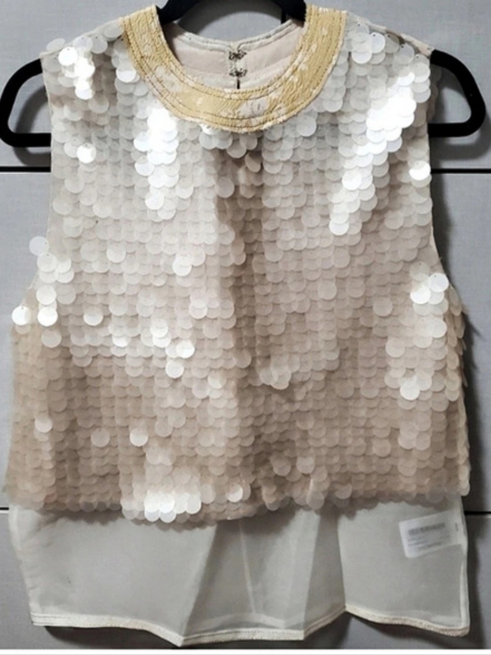 Rare Zara Sequin Paillette Sheer Sleeveless Top